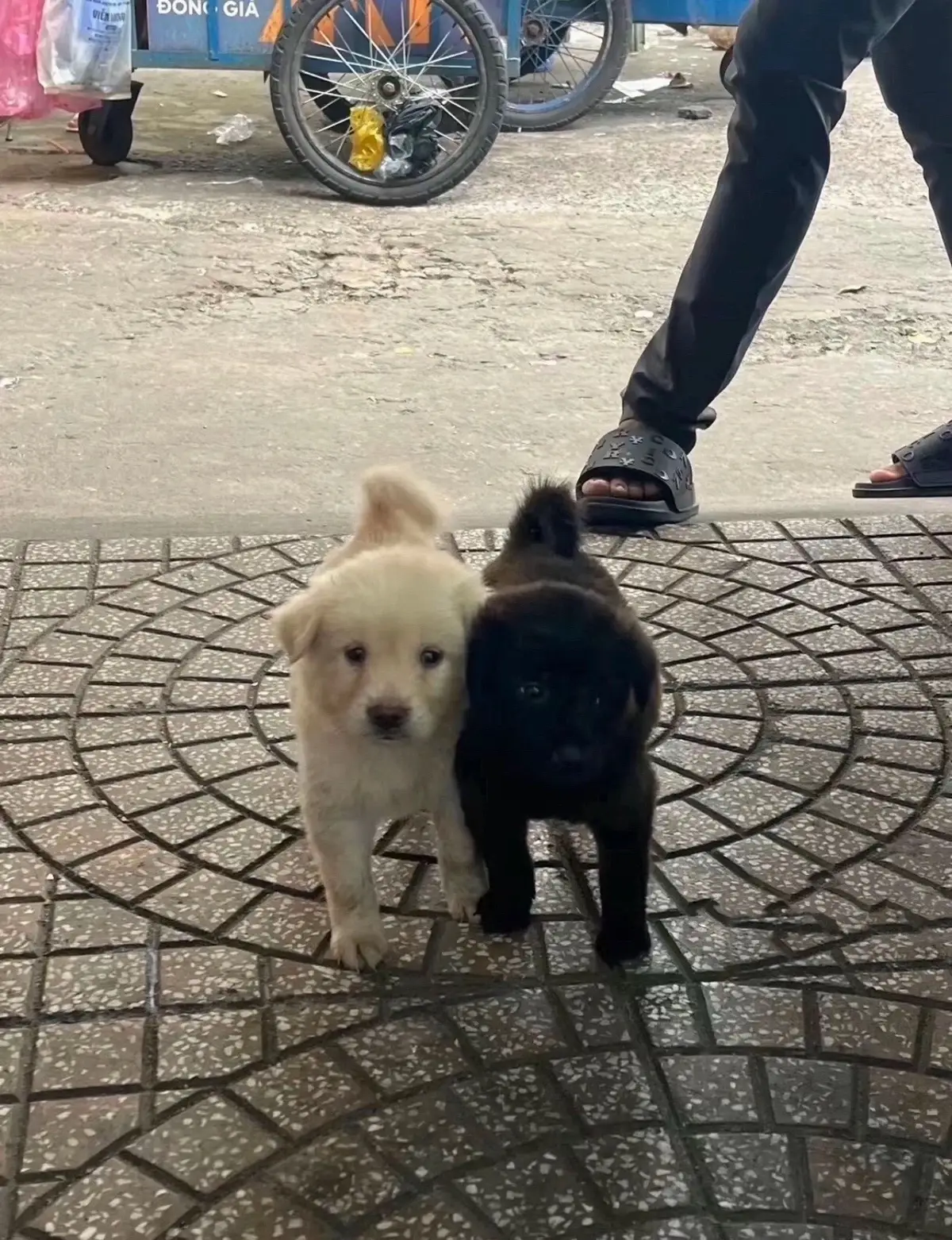 @Hà Đức Mạnh 🫶 #xuhuongtiktok 