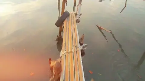 bit nya gk jelas dikit gk ngaruh#fishing #fishingtiktoks 