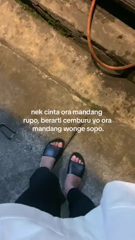 cemburu ki ora mandang kui sopo#arrkaptri 