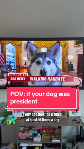 POV: if your dog was president✨ #treatscandal2024 #dogs #doglover #funnydog #presidentsapphie 