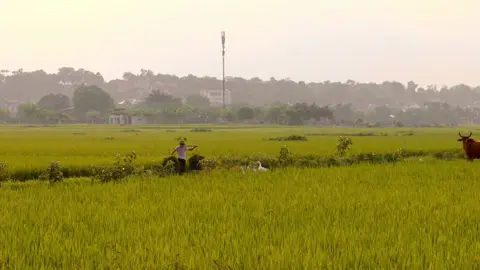 Quê hương là điểm dừng chân của sự bình yên #hanoi #travel #binhyen #xehetxang93 