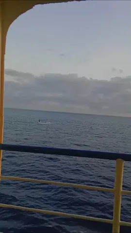 #pototanosumbawabarat #sumbawa #sumbawabesar #fypシ゚viral #xyzabc 