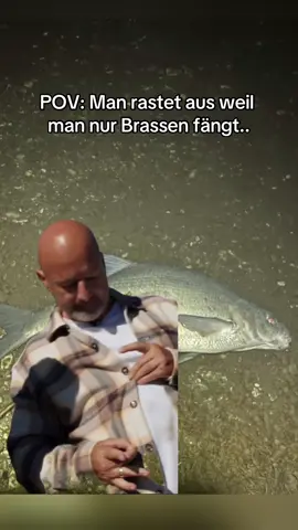 #nscbaits #besteboilies #nscbesteboilies #carp #carpi #karpfen #fishing #fishing #bestehobby #fy #foryou #fürdich #foryoupage #bigfish #karpfenangeln #ansitz #fyp #viral #viralvideos #Meme #MemeCut 