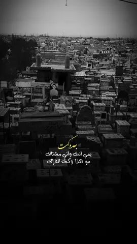 - بعد وكت 💔|#محمد_الحلفي #علاء_الحسيني #ستوريات #حسينية #قصائد_حسينية #اكسبلور #fyp #tiktok #viral #foryou #cupcut #foryoupage  #موعود_الك #فراق 