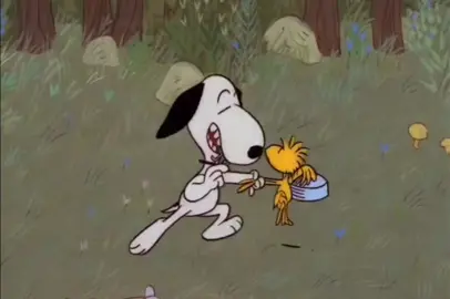 #fyppppppppppppppppppppppp #fypシ゚viral #snoopy #viral #foryoupage 