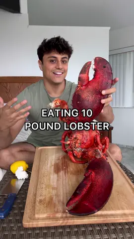 Lobster bigger than my hopes and dreams 😂 #lobster #mukbang #asmr #seafood #mukbangasmr 