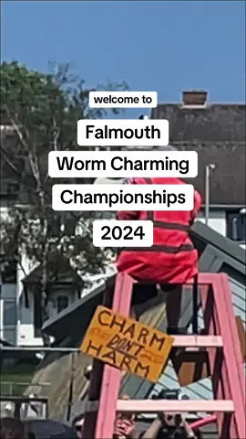 absolutely scenes at the Falmouth worm charming championships #worm #worms #falmouth #cornwall #uk #wormcharming #wormzone 
