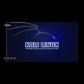 Seguridad Ofensiva 💀🩶 #kalilinux #linux #debian #ciberseguridad #cybersecurity #informatica #fypシ #foryou #offensivecybersecurity 