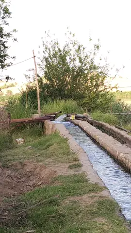 الاجواء من بساتين حديثة #s23ultra #الانبار #ستوريات #تصويري #بساتين #دليمي_الانبار_رمادي #حديثة #ياعين_شاهينه #سعد_الحديثي #اكسبلور 