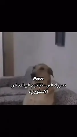 #ضحك😂 #اكسبلورر #الشعب_الصيني_ماله_حل😂😂 