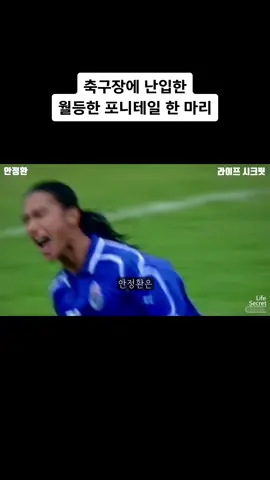 축구장에 난입한 월등한 포니테일 한 마리 안정환 ! 대한민국 축구 찢었다.  #축구 #축구선수 #축구영상 #안정환 #월드컵 #유머 #유머영상 #유머짤 #유머스타그램 #유머저장소 #유머모음 #유머틱톡 #재미지다 #재미 #재밌는영상 #재미있는영상 #웃음 #웃긴 #웃 #웃짤 #웃긴영상 #웃긴짤 #유튜브 #이야기 #라씨 #라이프시크릿 