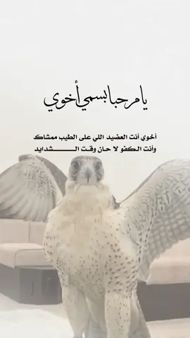 من أفخم التصاميم الى سويتها 🥹#دعوات_الكترونيه #مواليد #بيبي #سمي_خاله #سمي_اخوي #سمي_جده #سمي_الغالي #سمي_ابوي #بشارة_مولود 