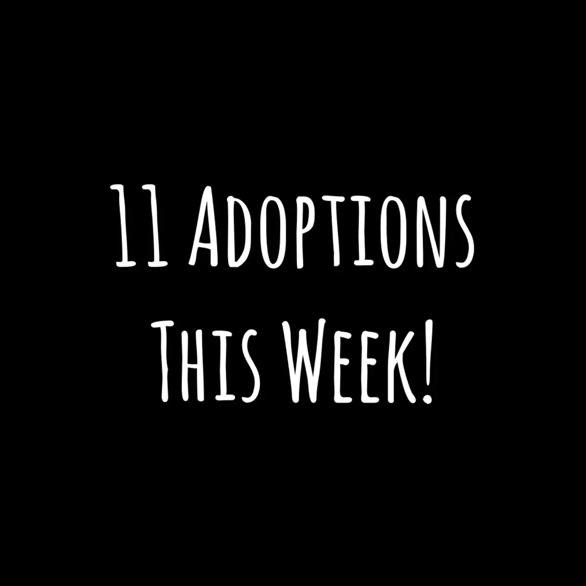 11 kitties saved and off to their new homes! Not pictured: Cocoa #catadoptions #savinglives #savingcats #thecatterycc #newhomes 