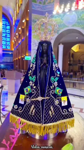 Nossa Senhora do 🇧🇷 #nossasenhoraaparecida#fe#fy 