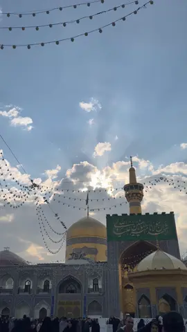 ساكن گلوبنا🤍 مُتباركين بمولد انيس النفوس #الامام_الرضا_عليه_السلام #مولد_الرضا 