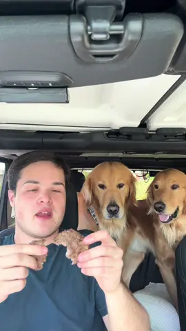 I love in n out 🍔#innout #innoutburger #FoodTok #Foodie #mukbangs 