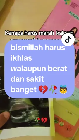Bismillah ikhlas walaupun sakit banget hatiku ,semua milik Allah dan kepadanya lah kami kembali 🥹💔🥀👼bahagia disurga ankku #anaksurga #alfatihah #anaksurgaku #anaksyurga #anaksurgaku❤️🥀 #anaksurgayangslaludirindukan #anakku #buahhatiku #buahhati #rindu #perjuanganseorangibu #pejuanggarisdua #promil #pejuanggaris2 #pejuanggarisduamerah #pejuanggaris2semangat #anakpertama #bayisurgaku🥀❤️ #bayiku #anakmama #anakayah 