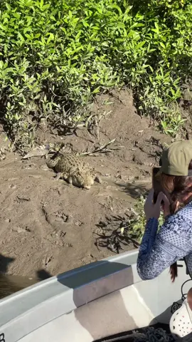 Probably shouldn’t have gotten this close 😬 #fishing #adventure #crocodile 