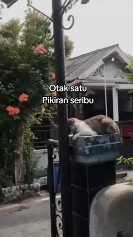 capee mikirin hidup ;( #story #foryoupage #sadvibes  #4you #xbca #fypシ 