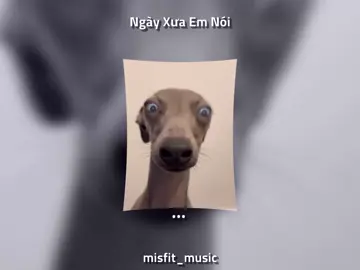 bản nhạc này💀💀#xuhuong #hoanganhms #xh #ngayxuaemnoi #tuanvu #nhacchill