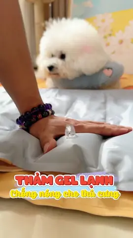 Nóng 41 độ bà già mua cho cái thảm lạnh nằm phê hết cả con chem chép #cute #cutedog #thamgelmatchochomeo #puppy #puppydog #doglover #fyp #pet #animals 