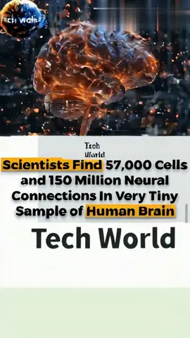 )A groundbreaking achievement in neuroscience has been made by a team led by scientists from Harvard and Google, who have created a 3D, nanoscale-resolution map of a single cubic millimeter of the human brain. This remarkable map, the highest-resolution picture of the brain to date, reveals an intricate snapshot of the brain’s architecture, encompassing approximately 57,000 cells, 230 millimeters of blood vessels, and nearly 150 million synapses within this tiny piece of brain tissue. The precision required for this endeavor involved slicing the tissue sample into 5,000 sections and scanning them with a high-speed electron microscope. The team then employed a sophisticated machine-learning model to electronically stitch these slices together and label their features, producing a raw data set of 1.4 petabytes. This map delves into the brain's connections, a field known as 