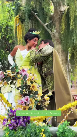 My new favorite Disney couple! 💚✨🐸 Princess Tiana & Prince Naveen from Princess and the Frog! 🥹 #magichappensparade #disneyland #princessandthefrog #princesstiana #princenaveen 