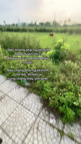 Bùn :(#xuhuong #tinhyeu #chill #nhactamtrang #tamtrang #viral #huan702 