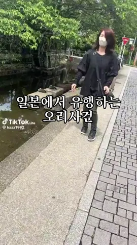 일본에서 유행하는 오리사건 #추천 #예능 #짤 #개그 #꿀팁 