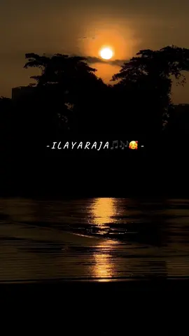 Forever Chasing Sunsets & Maestro Ilayaraja Songs 🎶🥰🎵  #pachaimalai #pachaimalaipoovu #ilayaraja #ilayarajamusic #ilayarajasong #ilayarajasongs #ilayarajabgm #ilayarajaforever #maestroilayaraja 