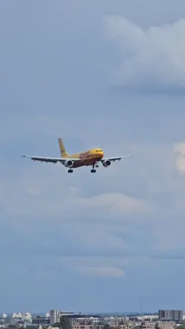 DHL landing at Heathrow😍#DHL#a310#airbusa310#heathrow#landing#spotter#video#spotting#planespotting#beautiful#beauty#plane#Airplane#airlines#fypシ#videoviral#fyyyyyyyyyyyyyyyy#foryou#foryoupage 