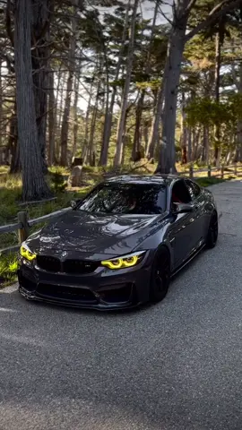 M4✨🔝 #lowgarage #bmw #bmwmotorsport #mperformance #bmwm4competition #m4competition #bmwm4 #bmwclub #bmwlove #m8competition #m2competition 