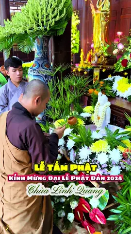 Lễ Tắm Phật, Chùa Linh Quang Kính Mừng Đại Lễ Phật Đản PL 2568-DL 2024 #lephatdan #vesak #trungtranofficial #chualinhquang #tiengiang 