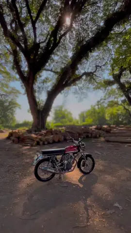 Cb ne wes duwe tapi..!!!!  #cbhasillaut🐳 #icikiwir #fypシ゚viral 