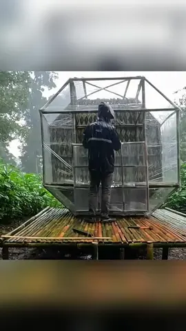 A man braved heavy rain to build a warm shelter and camp overnight in the wild P2 #bushcraft #build #camp #camping #survival #shelter #wildlife #Outdoors #outdoor #viral #foryou