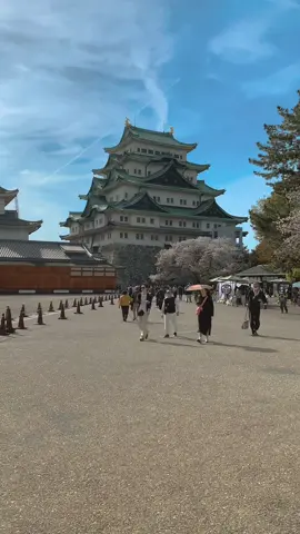 Nagoya castle #fypシ #videography #cinematic #aesthetic #awarkofilm #vibes #japan 