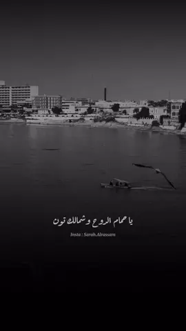 #حمام_الدوح #حسام_الرسام 
