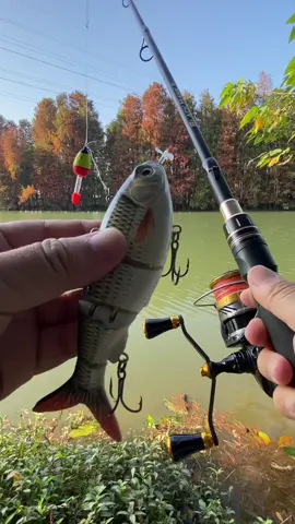 #lure #lurefishing #roboticlure #lureelectric #fishing #bassfish #seafish 
