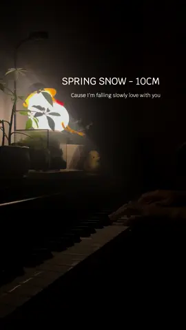 Chiếc Ost cực chill mà vợ tôi thích @Việt Chinh . Spring Snow - 10cm #piano #thuamnhachayho #theanh28 #10cm #springsnow 