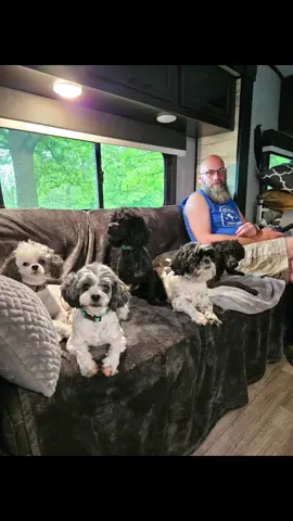 Good morning friends. There were some severe #thunderstorms over night and we #survived in our little tiny #camper . #praisegod  #camping  #dogs #puppies #campingdogs #morningvibes 
