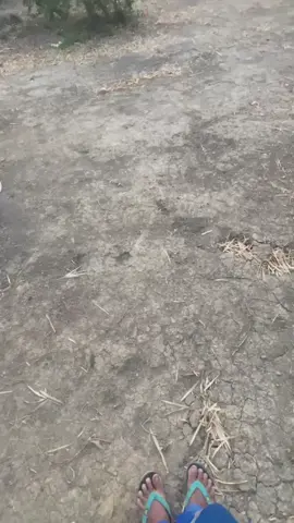 ถ้าเจ้าบ่รักข่อย🥲#กาญจนบุรี #เธรด 