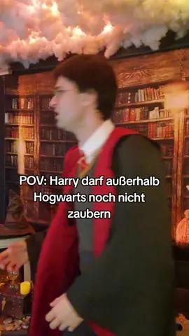Ob das Zaubereiministerium das merkt? 🤣 #harrypotter #harry #potter #lustig #witzig #prank 