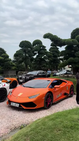 Khai trường vườn tùng anh Huấn Hoa Hồng và dàn s siêu xe thanhthuydaotaophunxam ##masterthanhthuydaotaophunxam##masterthanhthuydaotaophunxam##vườntungchienhuan##xuhuong2024##huânhoahồng