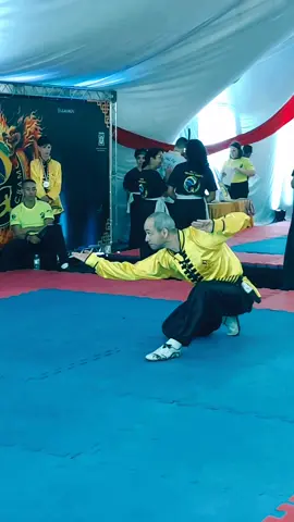 #tskf #kungfu #kungfuadistancia #kungfuonline #wushu #louvaadeus #artemarcial #artesmarciais #shaolin #chikung #camisadeferro #humor 