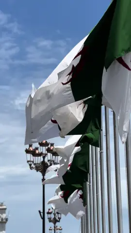 #algerlablanche #algeria #bladi #capcut #drapeaualgerie🇩🇿 #assima #photography #abonnetoi❤️❤️🙏 