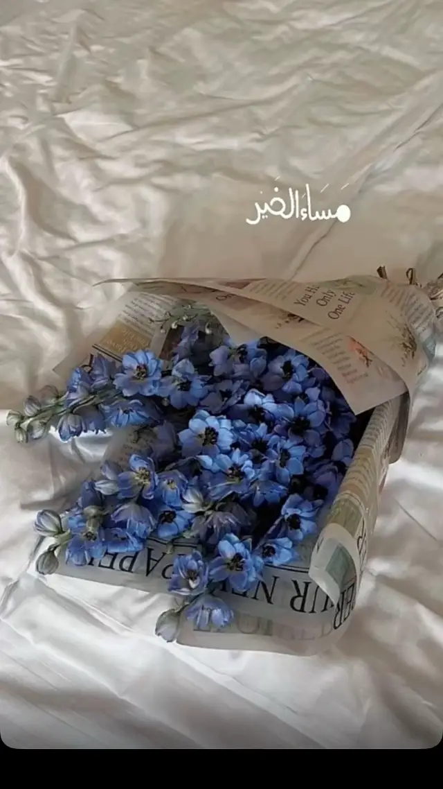 الحب جميل 🥹💜 مِسا مِسا #مساء_الخير #نانسي_عجرم #الحب #ورد #foryou #اغاني 