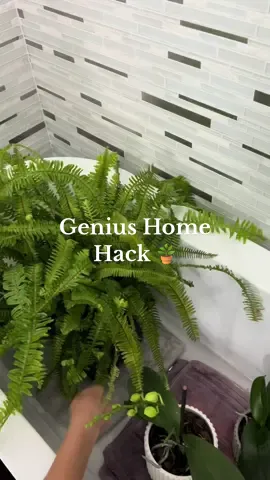 This is absolutely great idea for your home plants when you are away! 🪴#LifeHack #homeplants #planthacks #PlantTok #homehacks #plantideas #plantsaver 