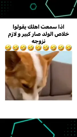 #CapCut #الشعب_الصيني_ماله_حل😂😂 #مقاطع_مضحكة #مقطع_ضحك #funny #meme 
