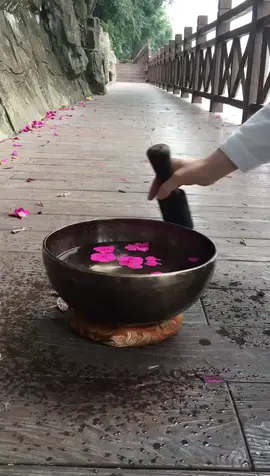 😮 veja até o final para o efeito impressionante na água causado pela vibração da Tigela Tibetana! #soundhealing #vibration #frequency #tibetanbowls #meditation #lawofattraction