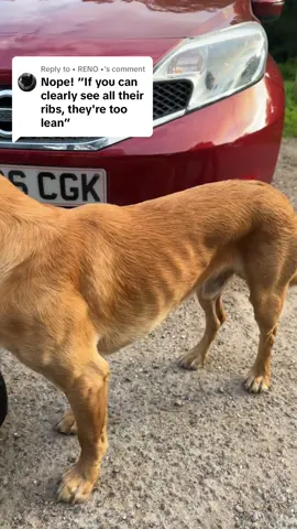 Replying to @• RENO • 